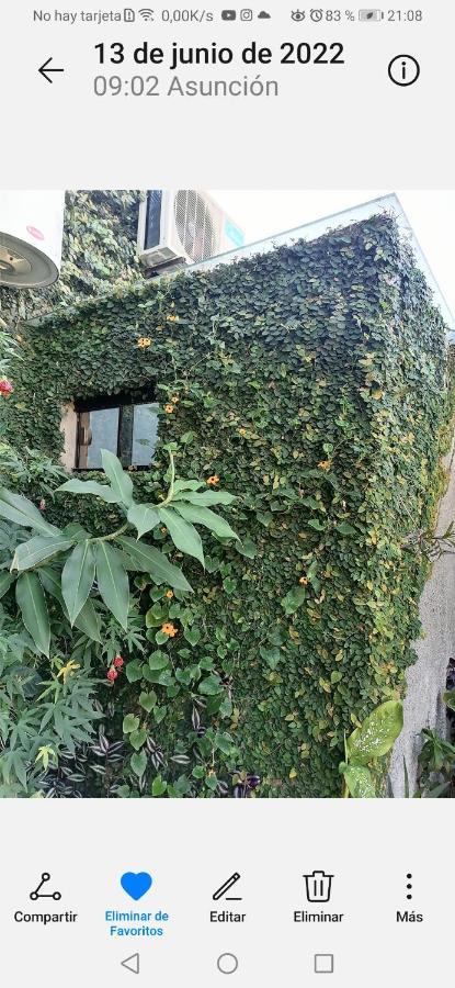 Granados Bed and Breakfast Ασουνσιόν Εξωτερικό φωτογραφία