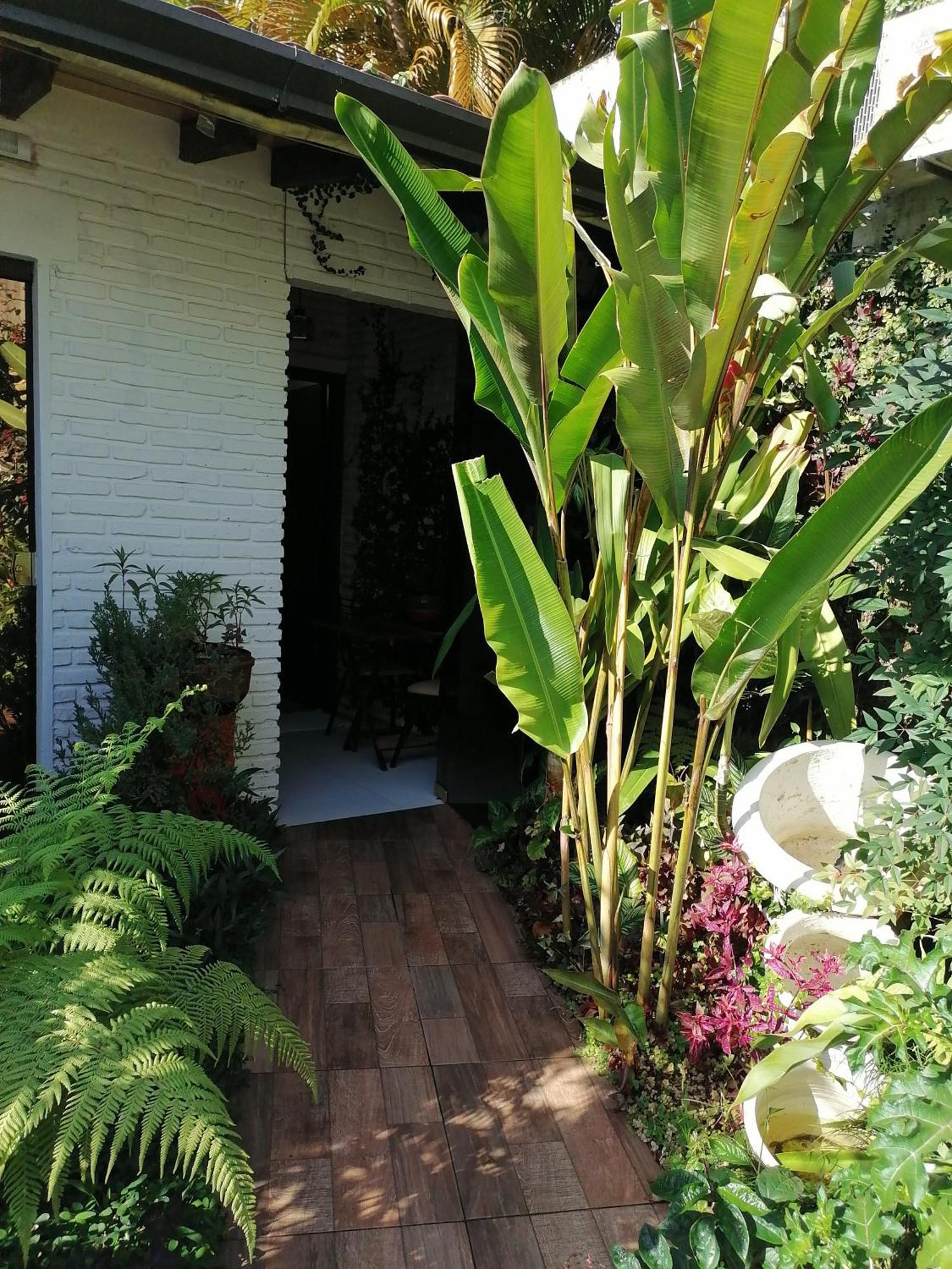 Granados Bed and Breakfast Ασουνσιόν Εξωτερικό φωτογραφία