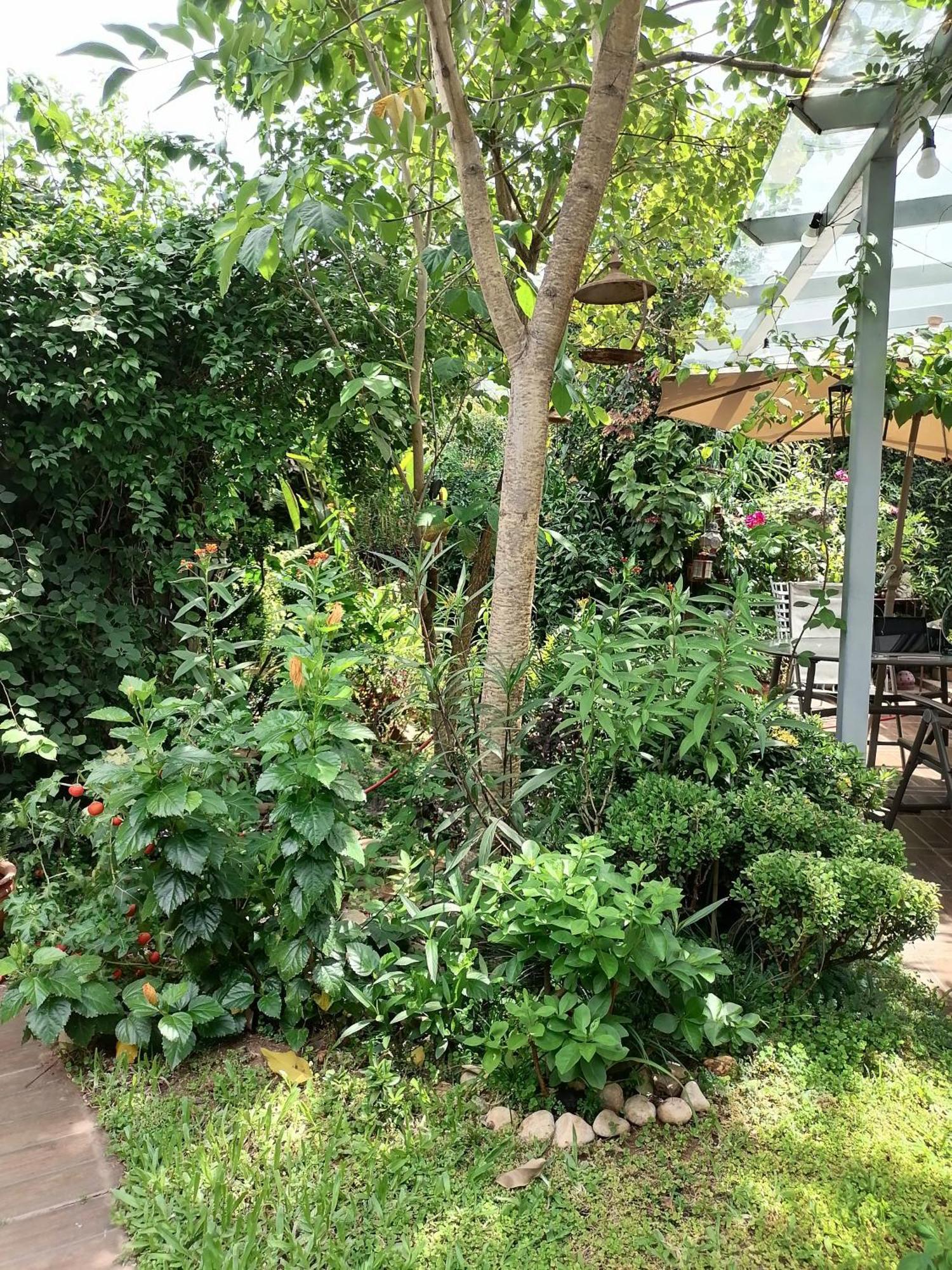 Granados Bed and Breakfast Ασουνσιόν Εξωτερικό φωτογραφία
