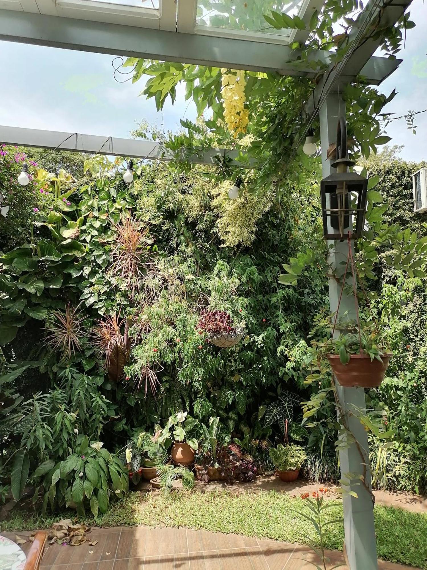 Granados Bed and Breakfast Ασουνσιόν Εξωτερικό φωτογραφία