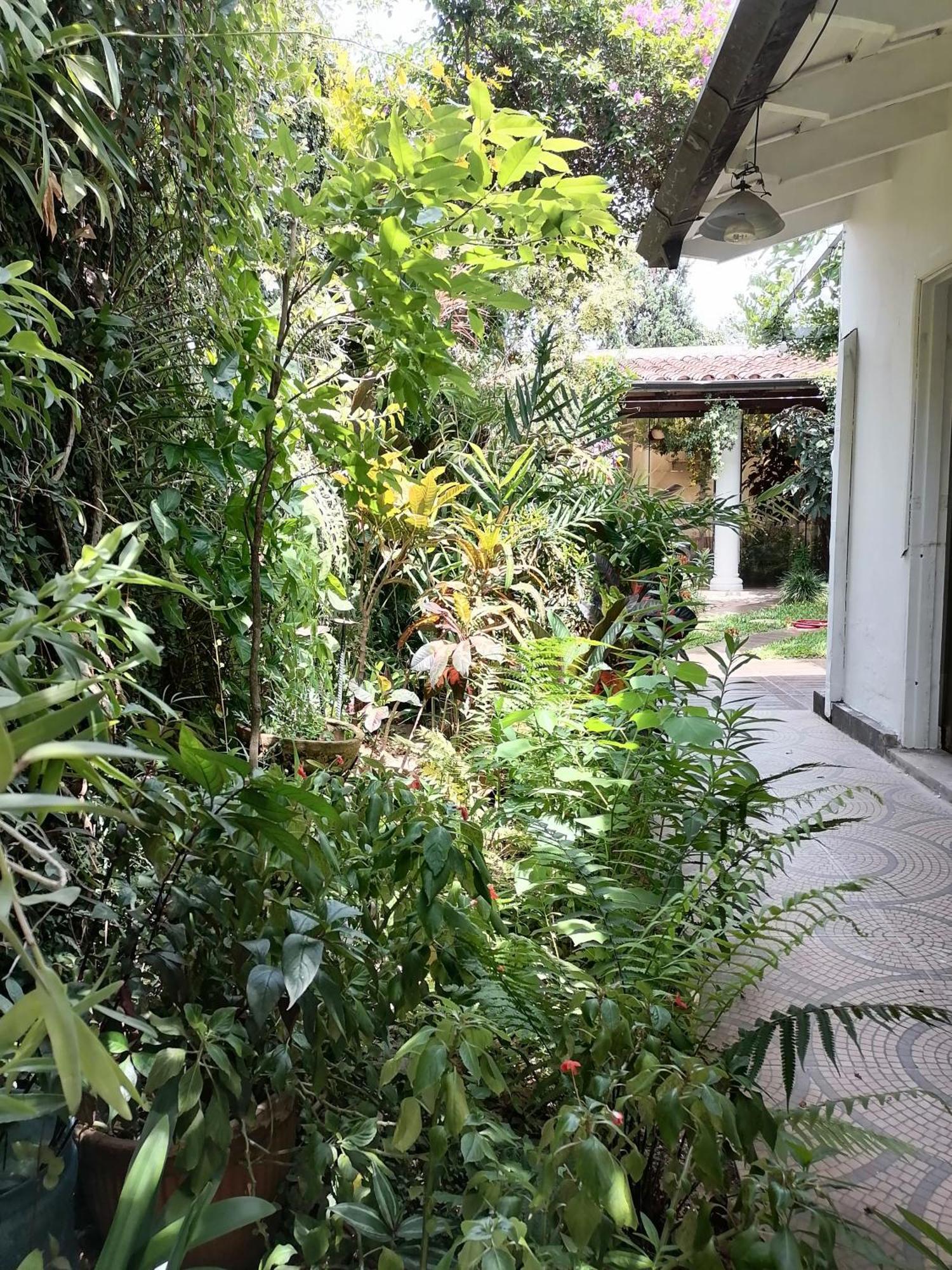 Granados Bed and Breakfast Ασουνσιόν Εξωτερικό φωτογραφία