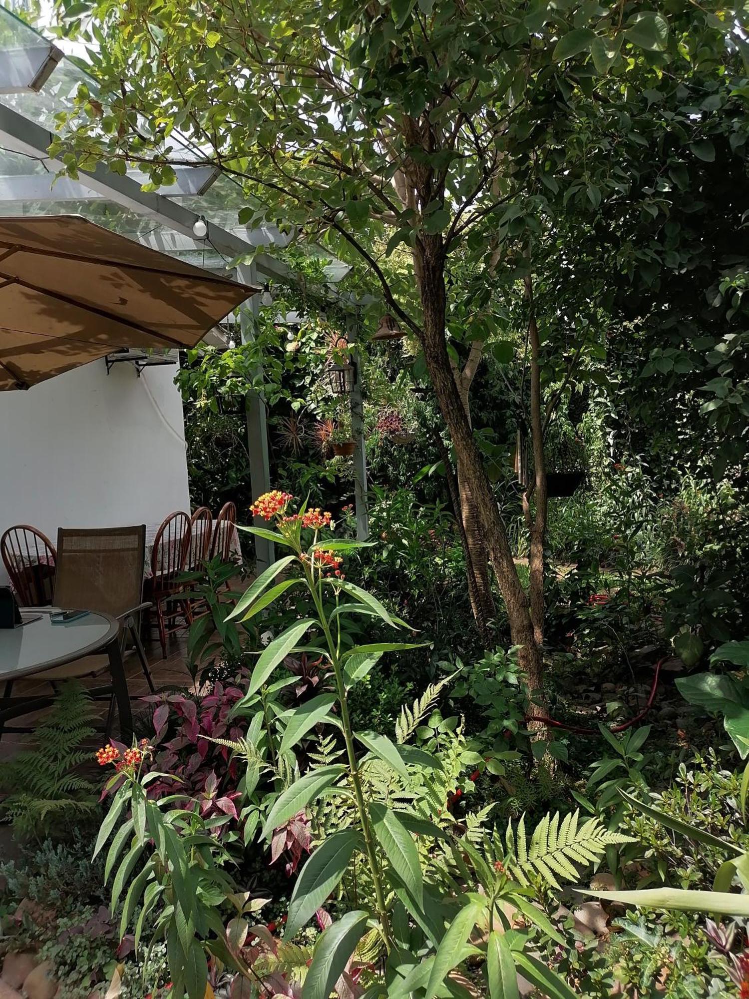 Granados Bed and Breakfast Ασουνσιόν Εξωτερικό φωτογραφία