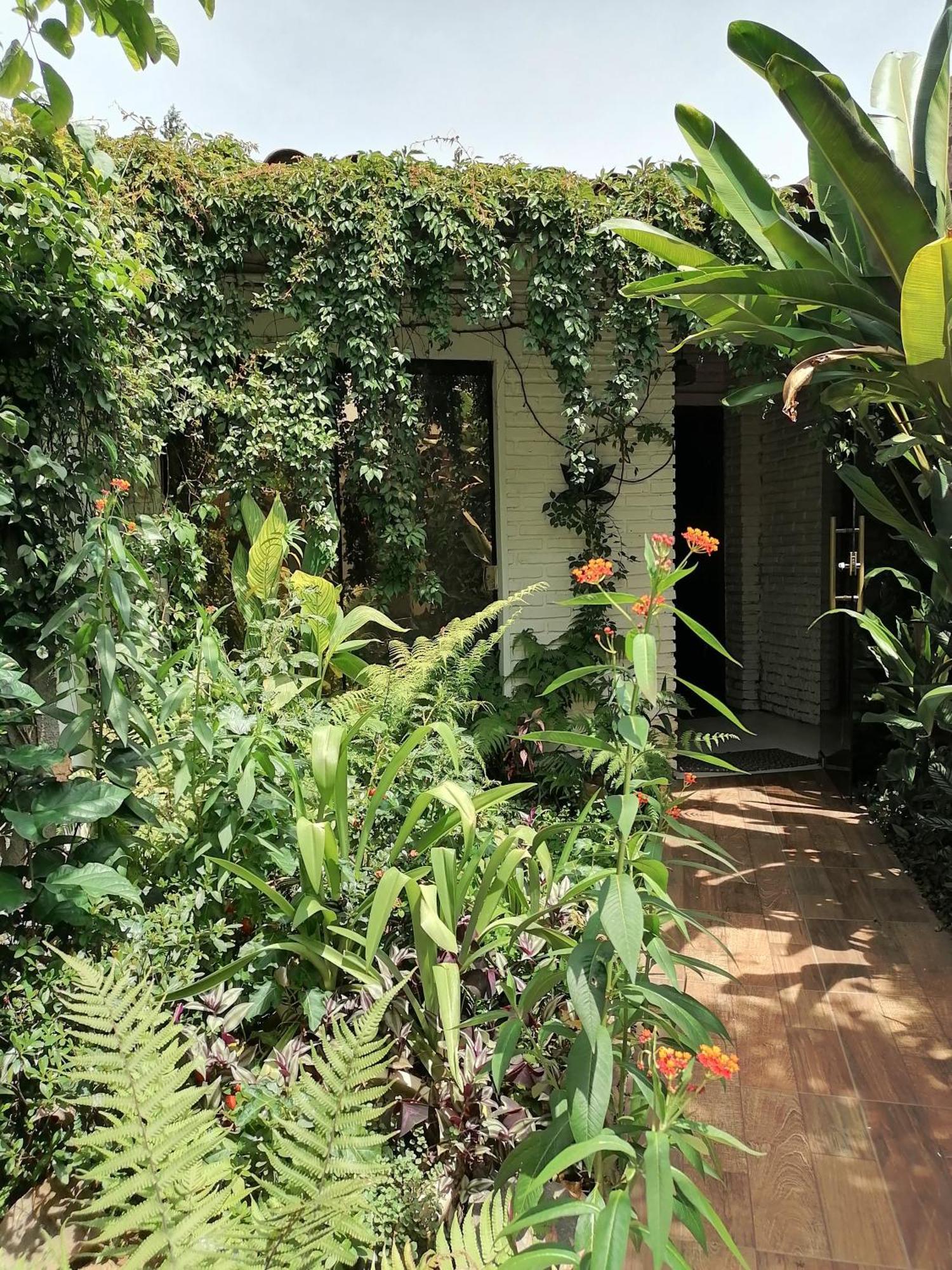 Granados Bed and Breakfast Ασουνσιόν Εξωτερικό φωτογραφία