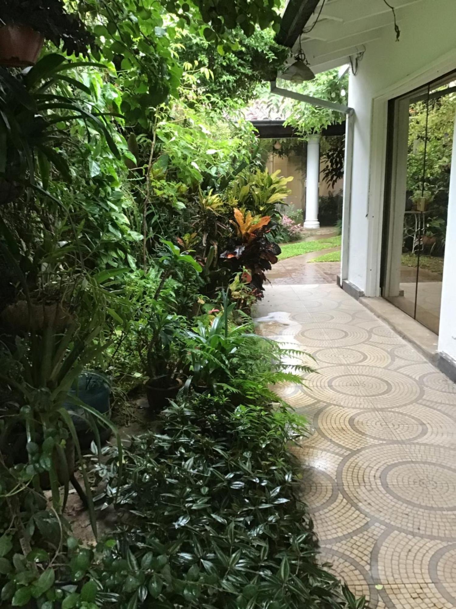 Granados Bed and Breakfast Ασουνσιόν Εξωτερικό φωτογραφία