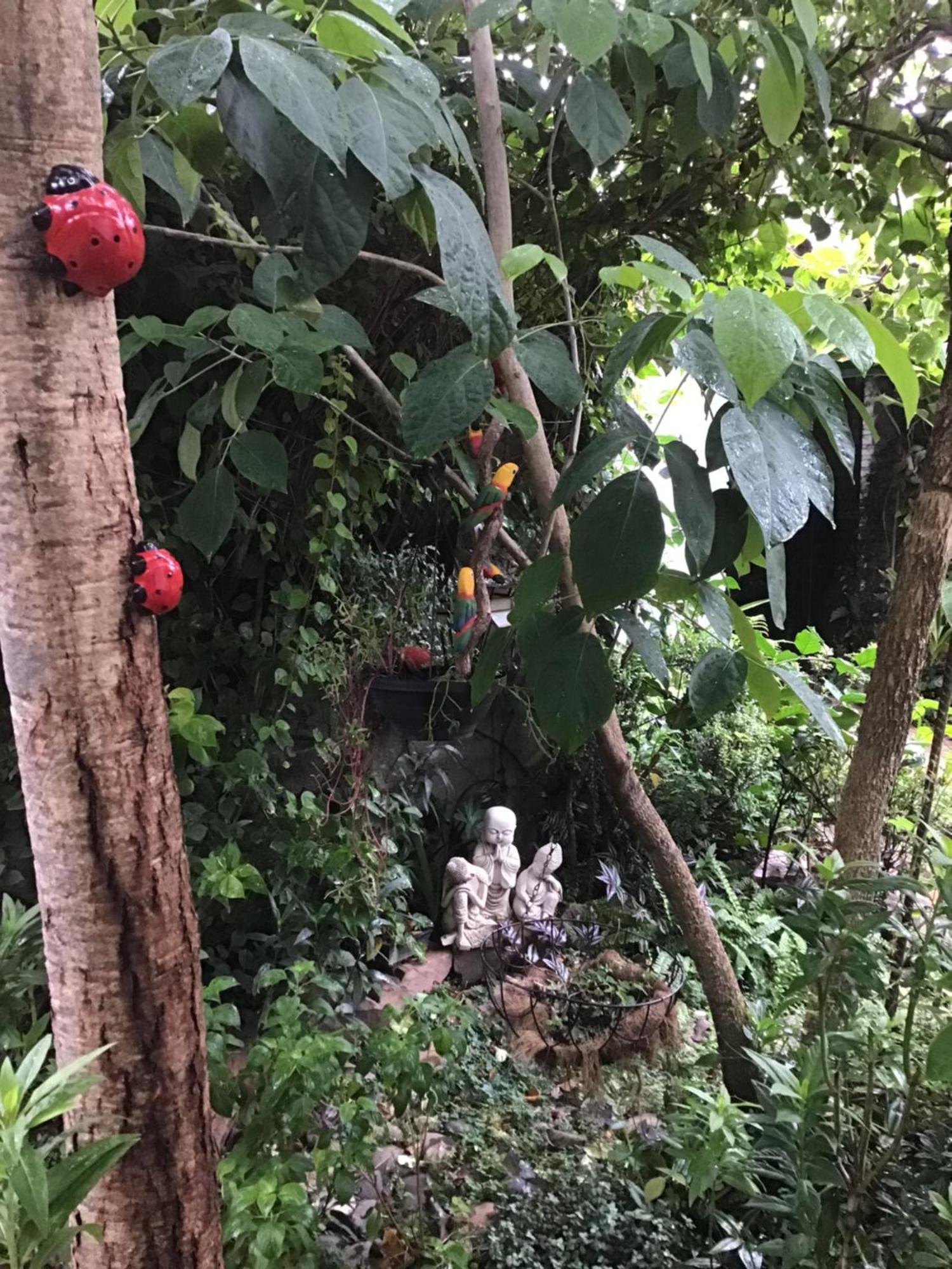 Granados Bed and Breakfast Ασουνσιόν Εξωτερικό φωτογραφία