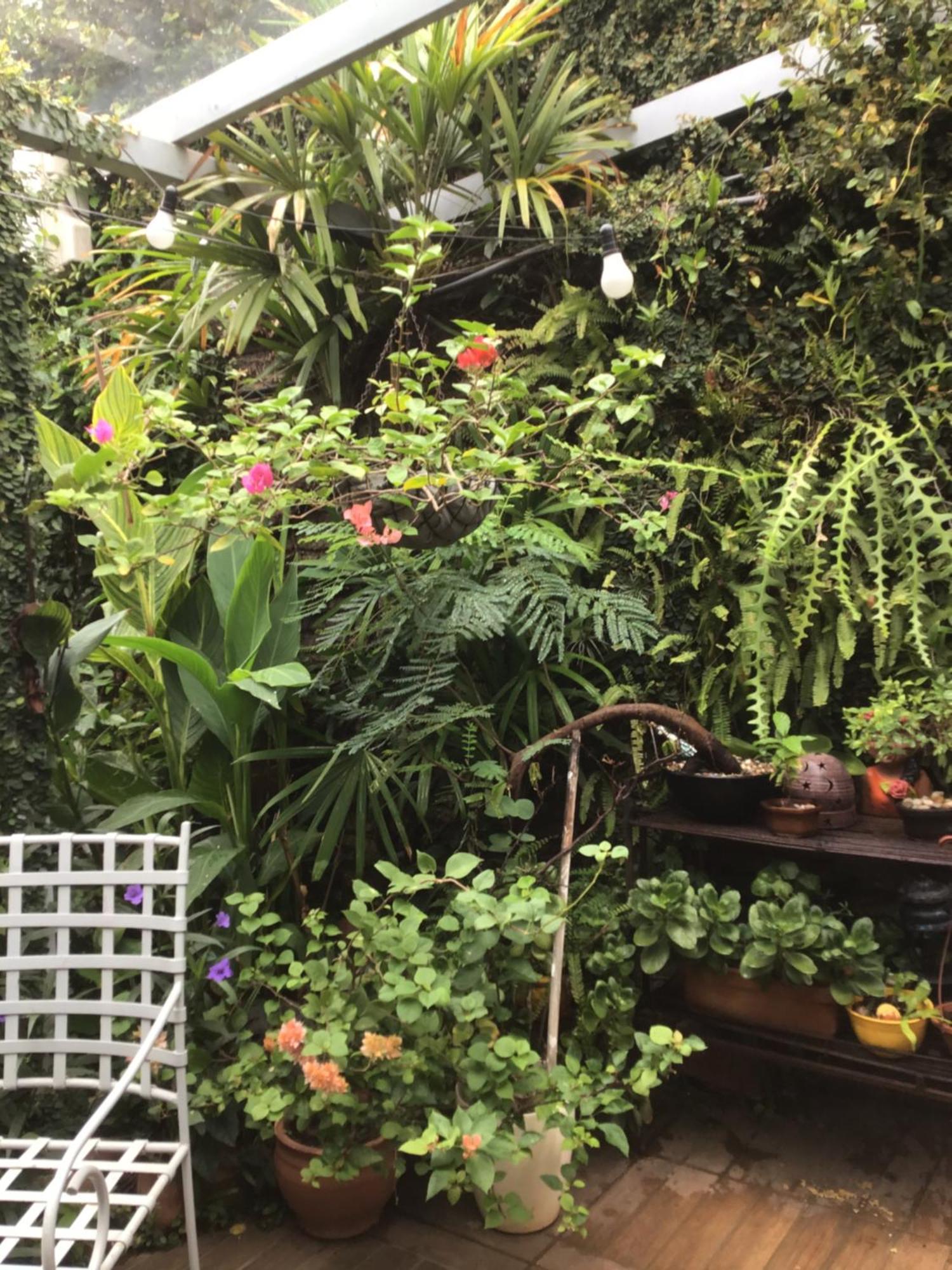 Granados Bed and Breakfast Ασουνσιόν Εξωτερικό φωτογραφία